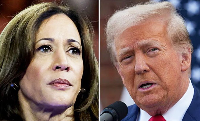 trump-harris