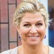 Máxima de Holanda asombró con su vestido más romántico para la cena del Consejo de Estado
