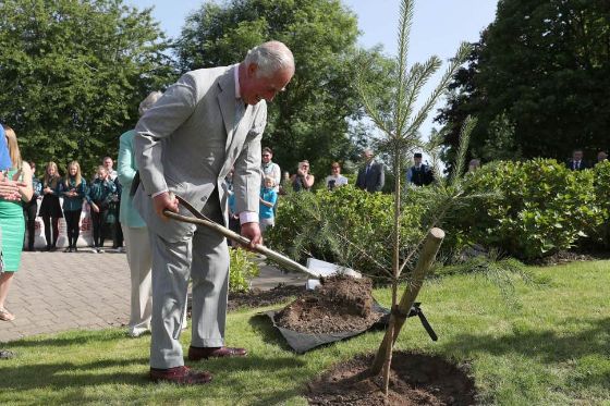 princecharlesscotland-28-06-2019a