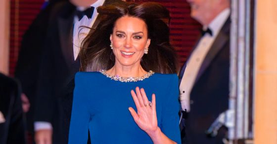 kate 560