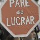 Estalla Twitter luego que Tribunal Constitucional declaró inconstitucional fin del lucro en universidades