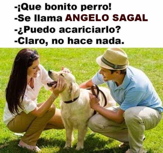 Sagal Perro