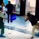 Con leve movimiento, hombre detuvo ladrón en mall de Viña del Mar: Las redes lo aplaudieron