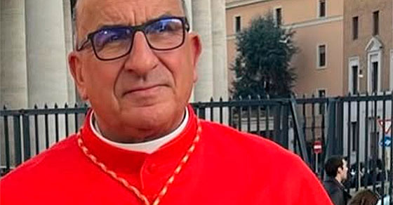 cardenal-chomali-papa-1