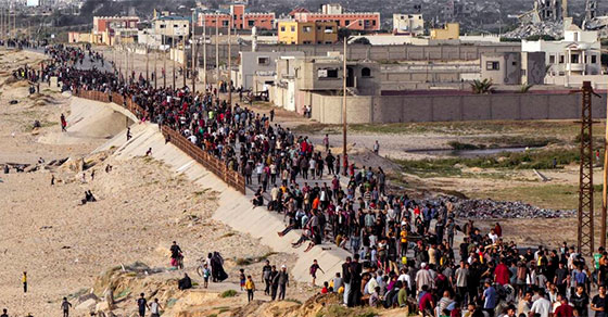 palestinos-regresan-gaza-1