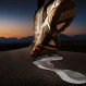 ¿Qué hacer después de una carrera? Consejos prácticos para el running