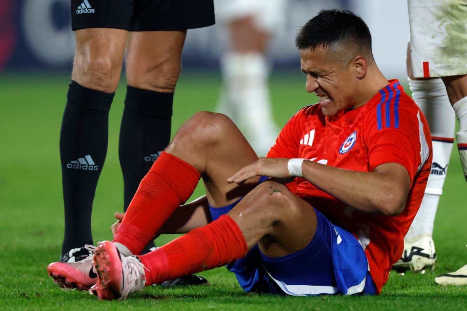 Alexis-Chile