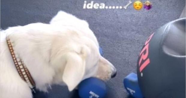 Lord Chesterfield, la mascota de Jennifer Aniston, acompañando en las rutinas físicas / www.instagram.com/jenniferaniston