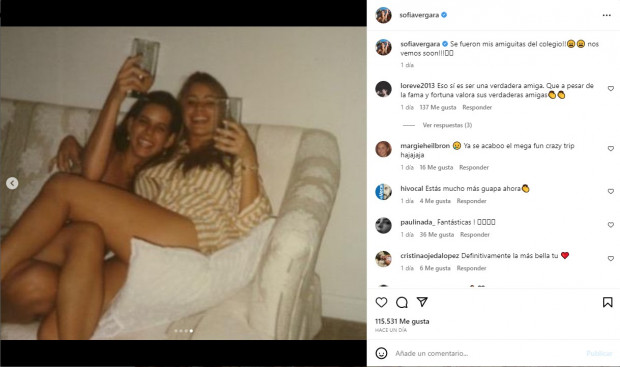 Además, muchos de ellos la elogiaron por mantener sus amistades del pasado / www.instagram.com/sofiavergara