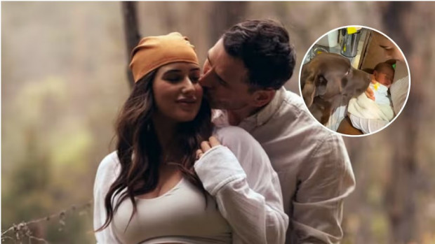 Pangal Andrade enterneció a sus seguidores con cálido video de la mascota conociendo a Alanna / www.lacuarta.com