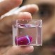 Científicos logran crear el primer corazón impreso en 3D utilizando tejido humano