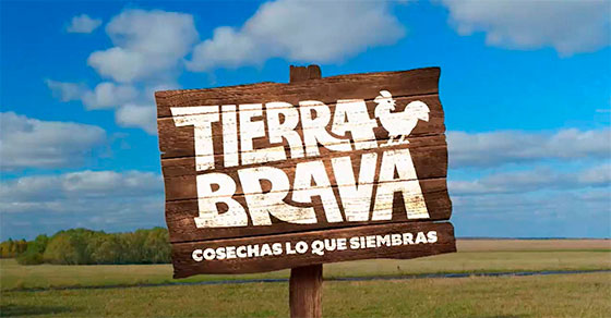 reality-shows-canal-13-1