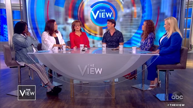 The View, programa de televisión transmitido por la cadena ABC.