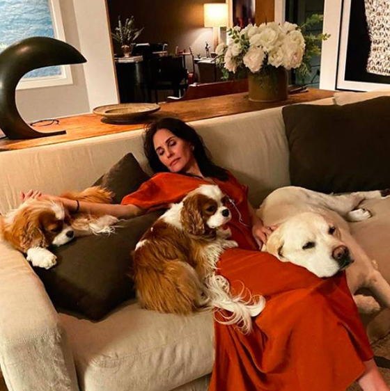 Courteney-Cox-foto-perros-malibu-2