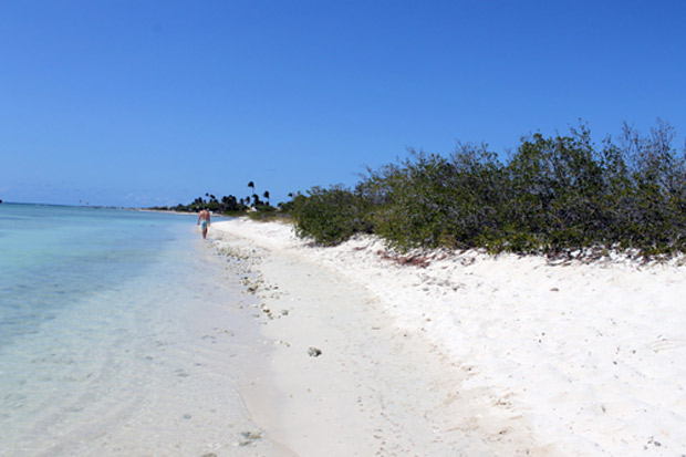 Aruba Aruba