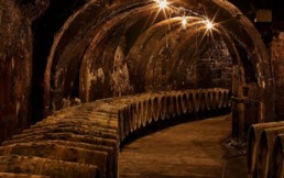 La Rioja, España: Un paseo imperdible por la tierra del vino y del castellano