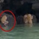 Turistas se encuentran con extrañas criaturas en Tailandia que tocaban música: “Troles parecidos a ewoks”