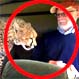 ¿Qué pasa si guepardos hambrientos se suben a un auto descubierto en un safari? Fotos del difícil momento