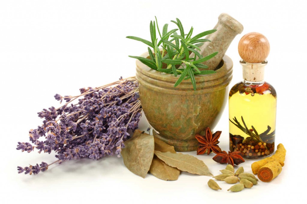 La gran guía de las Hierbas Medicinales conoce cómo ayudan a tu