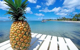 Conoce las mejores frutas para combatir el calor y comer sin culpa