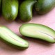 Palta sin semilla: Crean variante que evita accidentes y con cáscara que se come