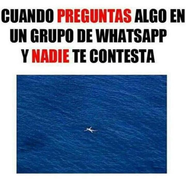 wap10