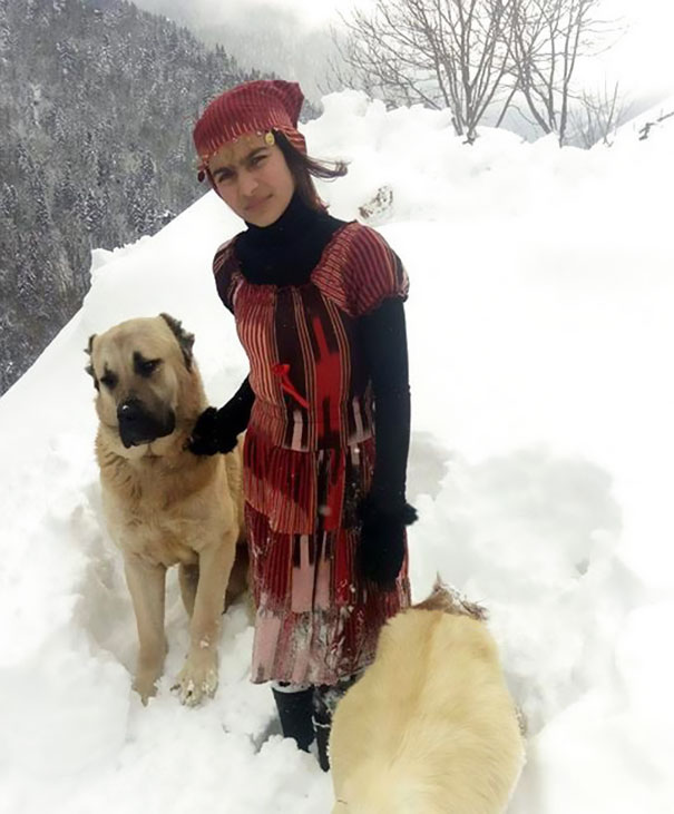 girl-dog-rescue-mother-goat-baby-turkey-5