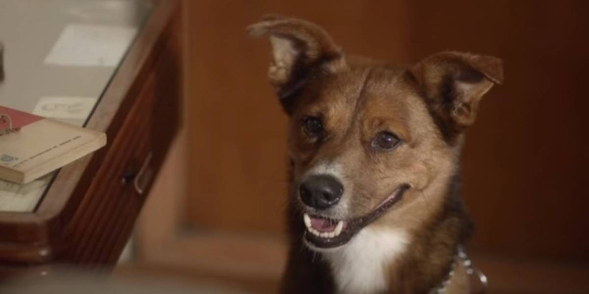 hombre-perro-trasplante