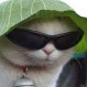 Test define cómo es tu personalidad según el primer animal que detectes en la imagen: ¿Qué ves tú?