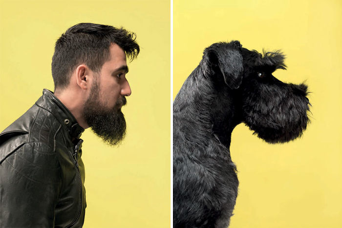 perros y dueños (5)