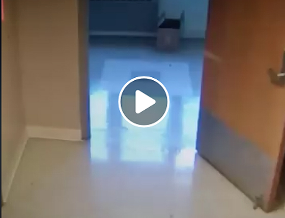 fantasma-2