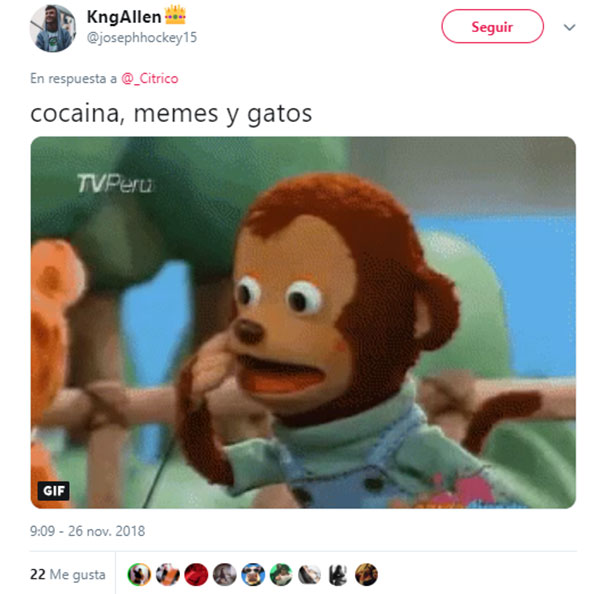 sopa1