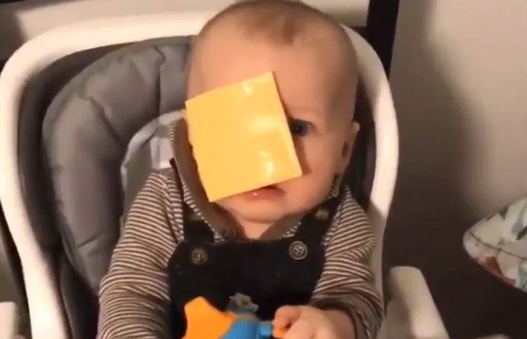 cheese