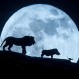 Nuevo tráiler del remake del “Rey León” sorprende a los fans con sus imágenes de los personajes