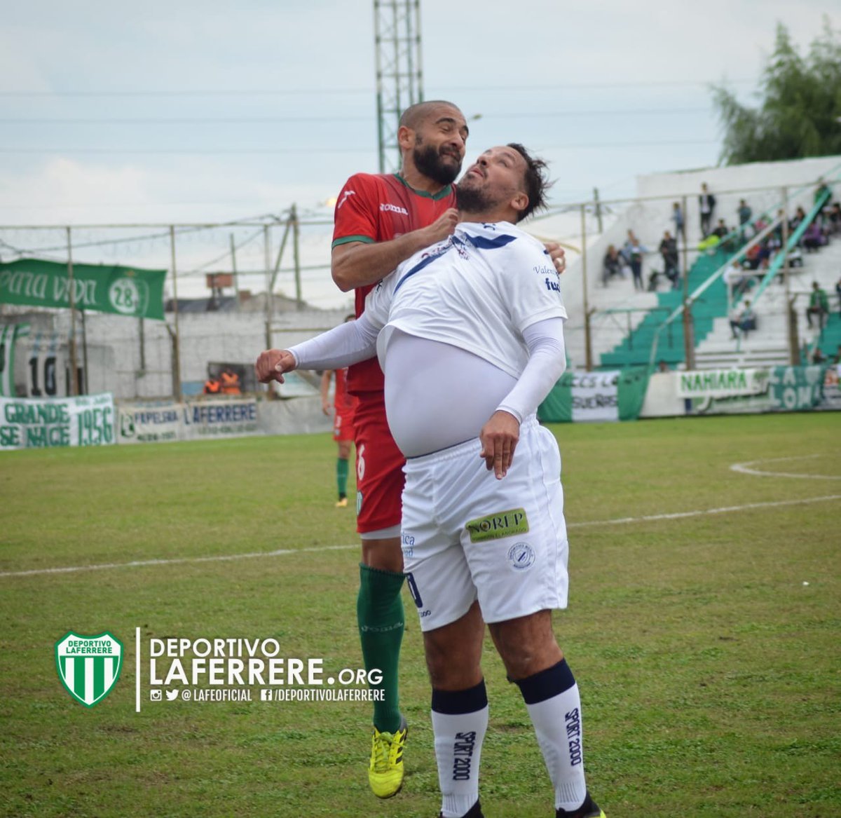 ogro
