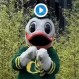 Los nuevos videos del #BottleCapChallenge: El desafío sobre el que todos están hablando