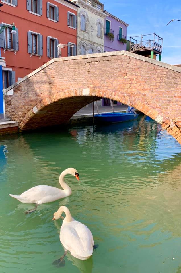venecia01