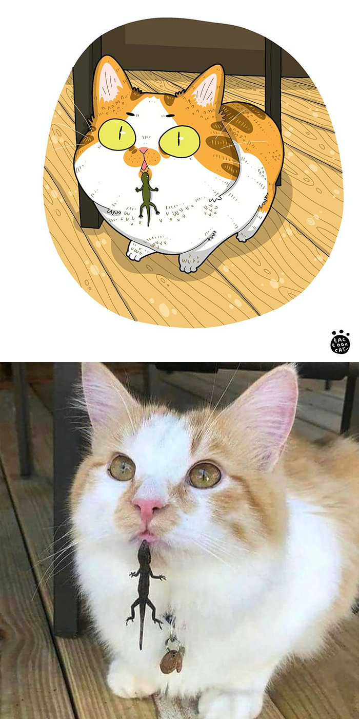 gatos-virales (10)