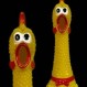 Mr. Chicken: Los pollos que causan furor en las redes cantando conocidos hits musicales