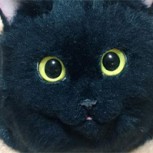Carteras idénticas a un gato real: ¿Bonitas o terroríficas?