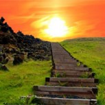 Los caminos evolutivos son personales: Todo a su tiempo