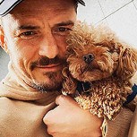 Orlando Bloom confirmó la muerte de su mascota desaparecida: Conoce su emotivo homenaje