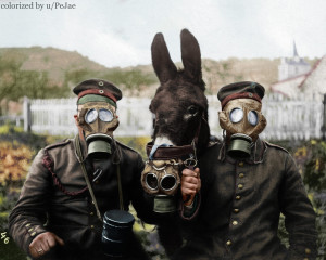 Dos soldados alemanes y su mula con máscaras de gas durante la Primera Guerra Mundial
