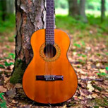 El hombre que plantó un bosque con forma de guitarra para que su esposa pudiera verlo desde el cielo