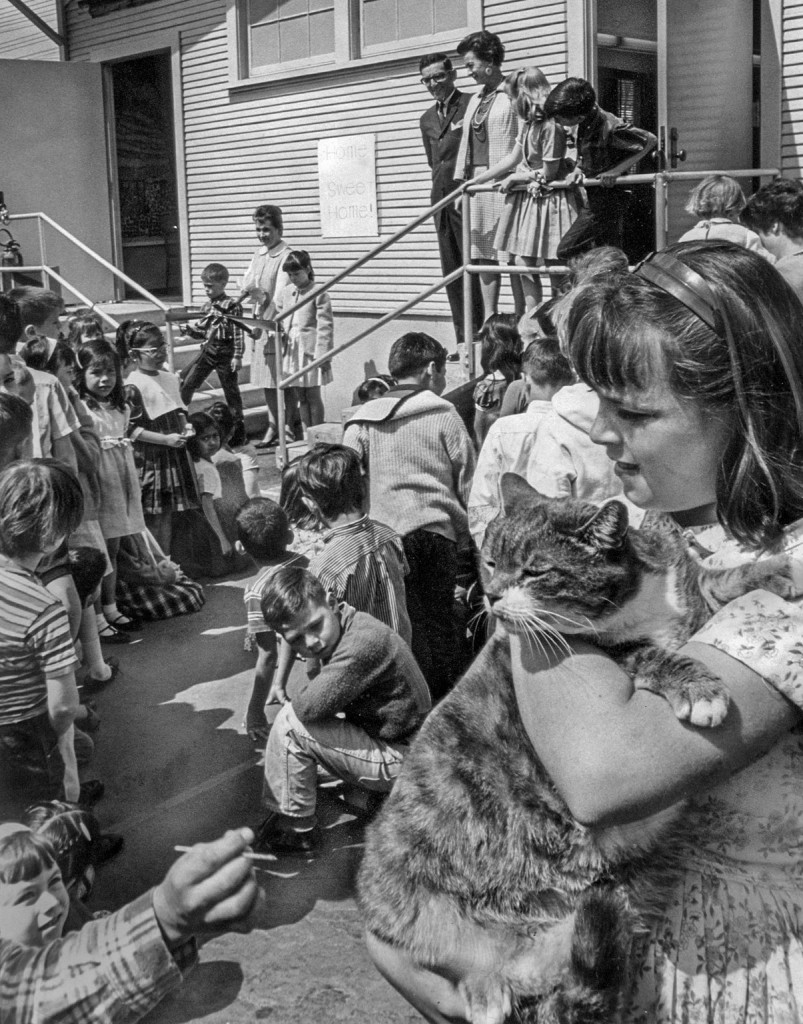 la-1543338074-0jsodsmy3v-snap-image-1