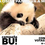 La creativa “Campaña BU” en Argentina que ridiculiza al miedo si gana Macri