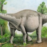 El Notocolossus: Descubrimiento del que podría ser el dinosaurio más grande del mundo