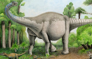 El Notocolossus: Descubrimiento del que podría ser el dinosaurio más ...