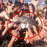 Turistas matan a delfín en extinción para sacarse fotos: Repudio en redes sociales