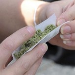 Más de un millón de argentinos consume marihuana regularmente: Información oficial